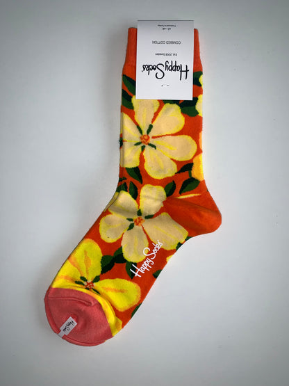 Men's Patterned Socks by Happy Socks / Colourful & Varied Designs